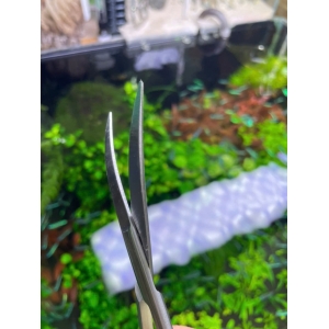 Kéo tỉa cây thuỷ sinh chất liệu inox không gỉ, mũi cong dễ thao tác 16cm