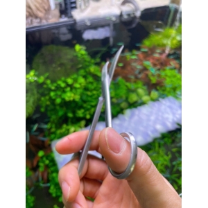 Kéo tỉa cây thuỷ sinh chất liệu inox không gỉ, mũi cong dễ thao tác 16cm