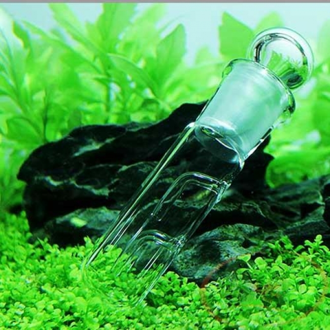 Dụng cụ bẫy sán thủy tinh 3 lỗ