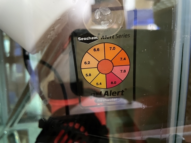 SEACHEM ALERT PH - DỤNG CỤ ĐO NỒNG ĐỘ PH DÁN KÍNH CHO BỂ CÁ NƯỚC NGỌT, THỦY SINH